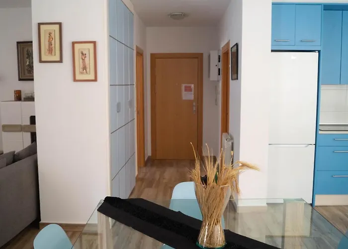 Y Sus 2 Catedrales 萨拉戈萨